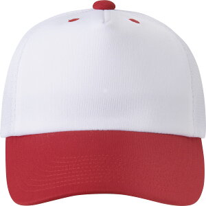 DESCENTE ifTgj 싅\tg{[ Xq tgplLbv yzCg×bhz DB5SCP02M WHRD Xqp Xq Y jp zCg  25SS {NP}