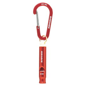 EVERNEWiGoj[j AEghAEW[ oR ANZT[ h F悯 zCbX501 ybhz EBY541 100  AJ 21 {NP}