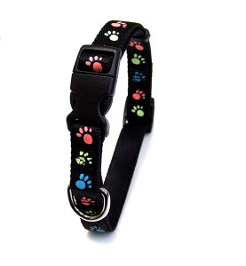 ij쐻쏊 ~tbgJ[20  pi  pioNP}