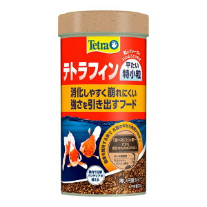 XyNg@uY@Wp egtB  50g Ϗ܋ t[h pt[h 4004218321274 {SK}