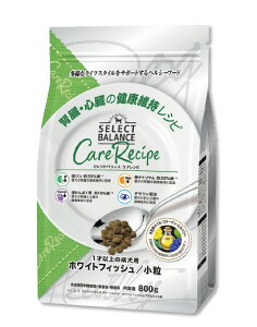 ЃxbcE`CXEWp ZNgoXPAVs zCgtBbV tEŠNێVs p hbNt[h hC h{H ^ 1`6΂܂()  4