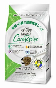 ЃxbcE`CXEWp ZNgoXPAVs zCgtBbV tEŠNێVs p hbNt[h hC h{H ^ 1`6΂܂()  4