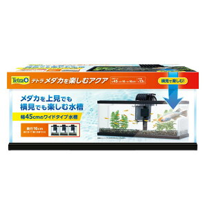 XyNg@uY@Wp eg _JyރANA Ϗ܋ pi Ϗ܋p 4571269556271 {SK}