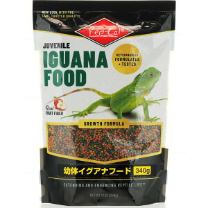 ЃroA c̃COAit[h 340g ঒ށE t[h ঒ށEޗpt[hhC 4582443498508 {SK}