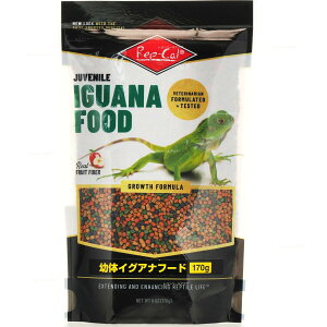 ЃroA c̃COAit[h 170g ঒ށE t[h ঒ށEޗpt[hhC 4582443498560 {SK}