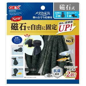 WFbNX _JC ̂Y Ύ 2 Ϗ܋ pi Ϗ܋pYEP[XEa 4972547045133 {SK}