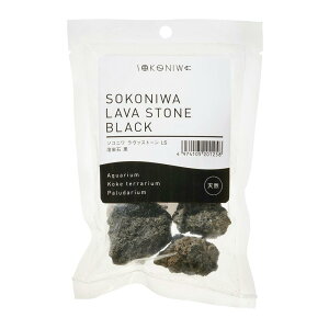 슔 i`Xg[n΍ Ϗ܋ pi 4974105201258 {NP}