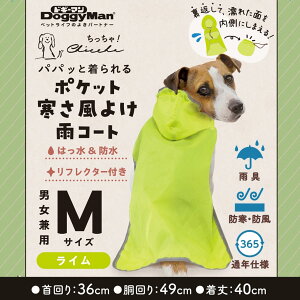 hM[}nVЗpicƕ Chiccha! ppbƒ |Pbg悯JR[g C M p pi ߗ 4976555642032 {SK}