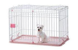 ij}JiIINAj INM]001 hbO[ sN pi P[WET[N pioSK}