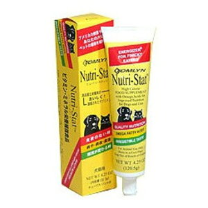 ijoCI B j[gX^bg 120.5G pi t[h hbNt[hoNP}S