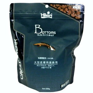 ijL[ NXgt[N {gY 250g MыEANAE Mыpt[h t[hoSK}