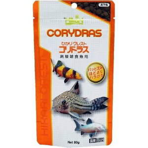 ijL[ ЂNXgRhX 80g MыEANAE Mыpt[h t[hoSK}