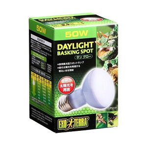 WFbNXij TO[oXLOX|bgv 50W PT2131 ঒ށE ঒ށEޗpOƖ pioSK}