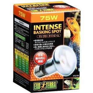 WFbNXij TO[ ^Cgr[oXLOX|bgv 75W PT2136 ঒ށE ঒ށEޗpOƖ pioSK}