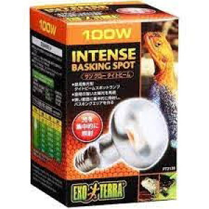 WFbNXij TO[ ^Cgr[oXLOX|bgv100W PT2138 ঒ށE ঒ށEޗpOƖ pioSK}