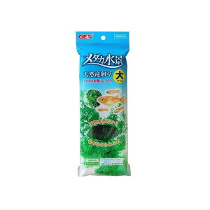 WFbNXij _Ji VRY  MыEANAE Ϗ܋pANZT[pi pioNP}