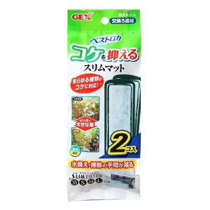 WFbNXij xXgJRP}X}bg 2 MыEANAE Ϗ܋p납 pioSK}