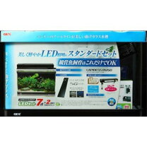 楽天市場】gex 水槽ラピレスrv60dtの通販