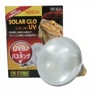 WFbNXij \[[O[UV125WPT2192 ঒ށE ঒ށEޗpۉ pioSK}