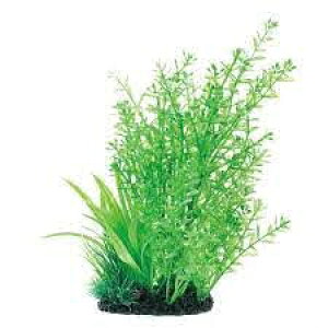 WFbNXij iMIXvcLp[ MыEANAE Ϗ܋pANZT[pi pioSK}