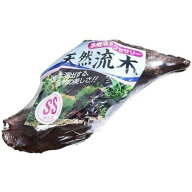 ジェックス（株） 天然流木 SS 熱帯魚・アクアリウム 観賞魚用アクセサリー用品 日用品｛SK}