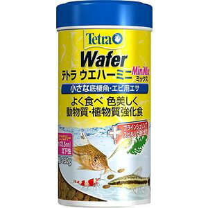 熱帯魚用 テトラ エサの人気商品 通販 価格比較 価格 Com