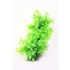 XyNg uY Wpij 76663 eg tLVuvg FP]2 MыEANAE Ϗ܋pANZT[pi pioSK}