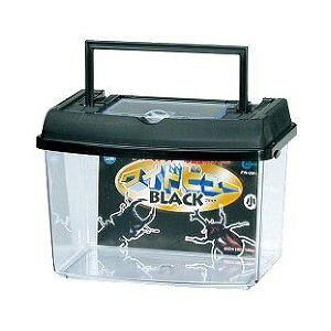 ij}J PW]02BL vP[XChr[  pi pioSK}