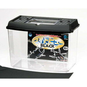 ij}J PW]05BL vP[XChr[单  pi pioSK}