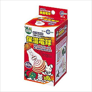 ij}J HD]40 ۉd40W  pq[^[ pioSK}