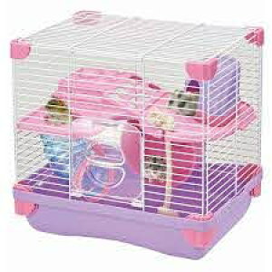 ij}J ML]101ñvChS  pP[WEP[X pioSK}