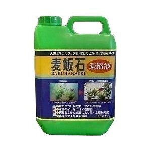 ij\lP~t@ ѐΔZkt 2000ml MыEANAE Ϗ܋p pioSK}