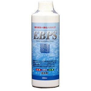 ij\lP~t@ EPBS Wp 250ml MыEANAE Ϗ܋p pioSK}