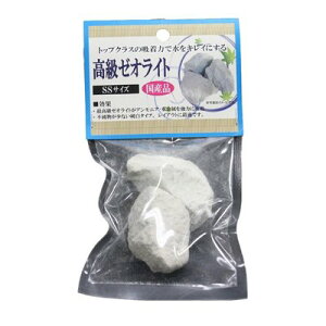 ij\lP~t@ [ICg SS MыEANAE Ϗ܋pANZT[pi pioNP}S