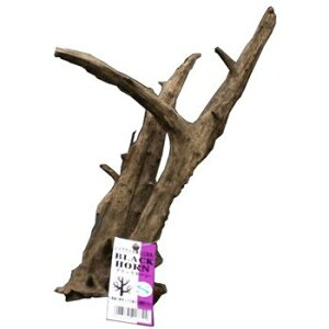 ij\lP~t@ ubNz[ S MыEANAE Ϗ܋pANZT[pi pioSK}