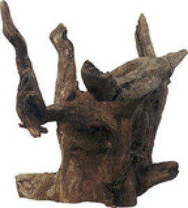 ij\lP~t@ ubNz[ M MыEANAE Ϗ܋pANZT[pi pioSK}