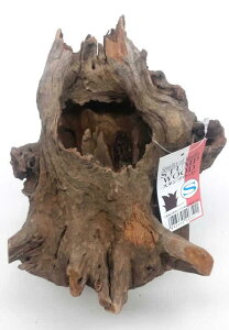 ij\lP~t@ X^vEbh SS MыEANAE Ϗ܋pANZT[pi pioSK}