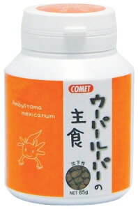 ijCgXC Rbg E[p[[p[̎H 85g ঒ށE ঒ށEޗpt[hhC t[hoSK}