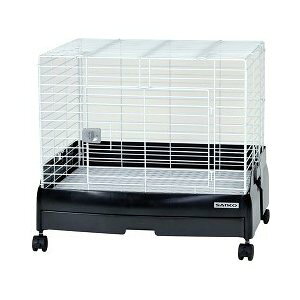 ijOW C51 C[W[z[ G{ 60BK  pP[WEP[X pioSK}