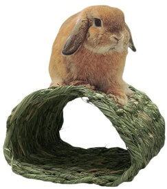 （株）川井 トンネルハウス 小動物 小動物用ハウス 用品｛SK}