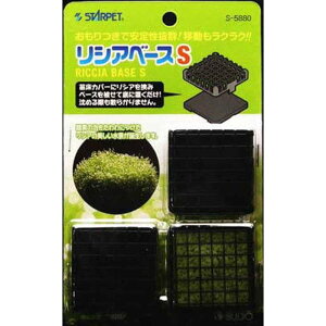 ijXh[ VAx[X S MыEANAE Ϗ܋p琬pi pioNP}