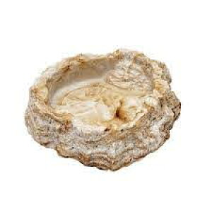 ijXh[ veB{E2 SF ঒ށE ঒ށEޗpGTE pioNP}