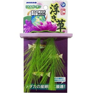 ij}Jijb\[j NAP]520 gK[fisNj MыEANAE Ϗ܋pANZT[pi pioSK}