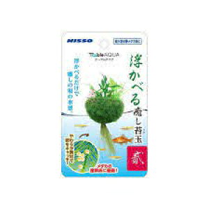 ij}Jijb\[j NAP]574e[uANAׂۋƁijj MыEANAE Ϗ܋pANZT[pi pioSK}