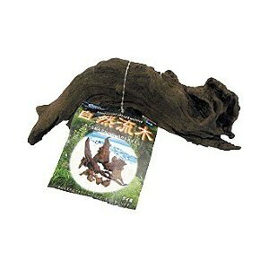 ij}Jijb\[j R  MыEANAE Ϗ܋pANZT[pi pioSK}