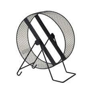 ijOW ^TCg25  pߋEV pioSK}