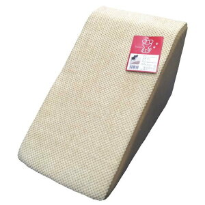 ybgCu[ij IN]087@inuneru@炭炭X[vx[W pi P[WET[N pi 4904879007015 {SK}