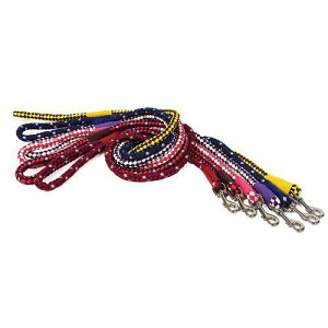 (株)リードッグ ツートン反射ショートリード10ー紫 TRSL-10-PU 犬 用品 引き紐 4580298522683 {NP}