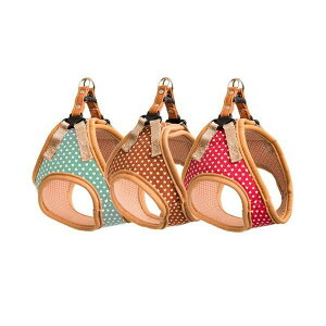 ij[hbO v`n[g\tgn[lXS[bh PHSH-S-RD  pi  4580298524748 {NP}