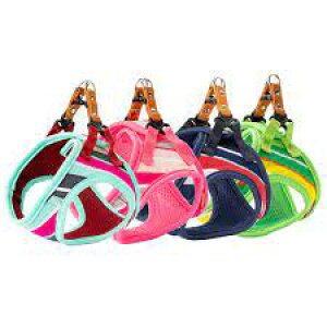 ij[hbO pXe{[_[\tgn[lXS[sN PBSH-S-PK  pi  4580298524830 {NP}